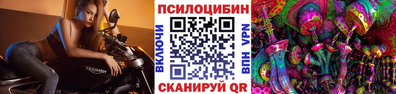 Псилоцибиновые грибы Psilocybe Чайковский